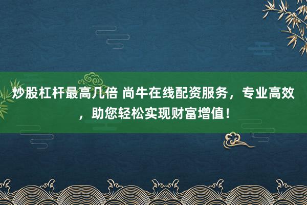炒股杠杆最高几倍 尚牛在线配资服务，专业高效，助您轻松实现财富增值！