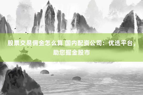股票交易佣金怎么算 国内配资公司：优选平台，助您掘金股市
