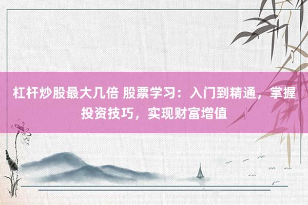 杠杆炒股最大几倍 股票学习：入门到精通，掌握投资技巧，实现财富增值
