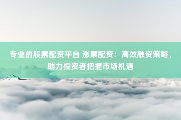 专业的股票配资平台 涨票配资：高效融资策略，助力投资者把握市场机遇