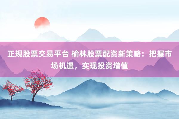 正规股票交易平台 榆林股票配资新策略：把握市场机遇，实现投资增值