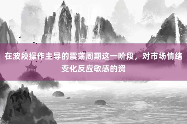 在波段操作主导的震荡周期这一阶段,对市场情绪变化反应敏感的资