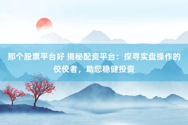 那个股票平台好 揭秘配资平台:探寻实盘操作的佼佼者,助您稳健投资