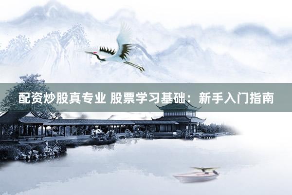 配资炒股真专业 股票学习基础：新手入门指南
