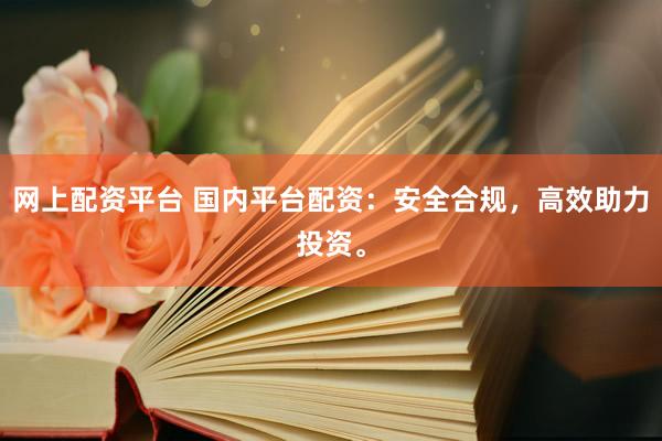 网上配资平台 国内平台配资：安全合规，高效助力投资。