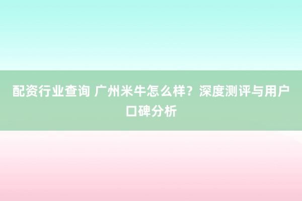 配资行业查询 广州米牛怎么样？深度测评与用户口碑分析